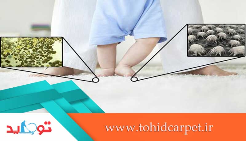 خطرات فرش کثیف