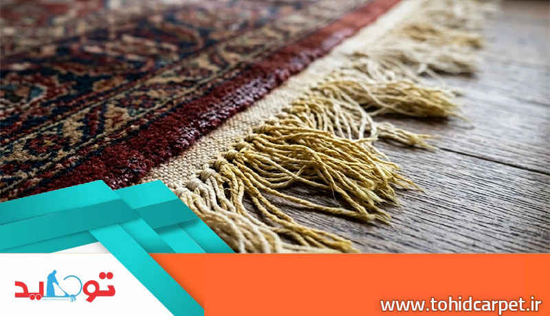 زرد شدن ریشه فرش